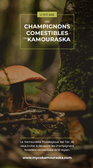 Le Kamouraska Mycologique